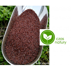 Babka płesznik nasiona